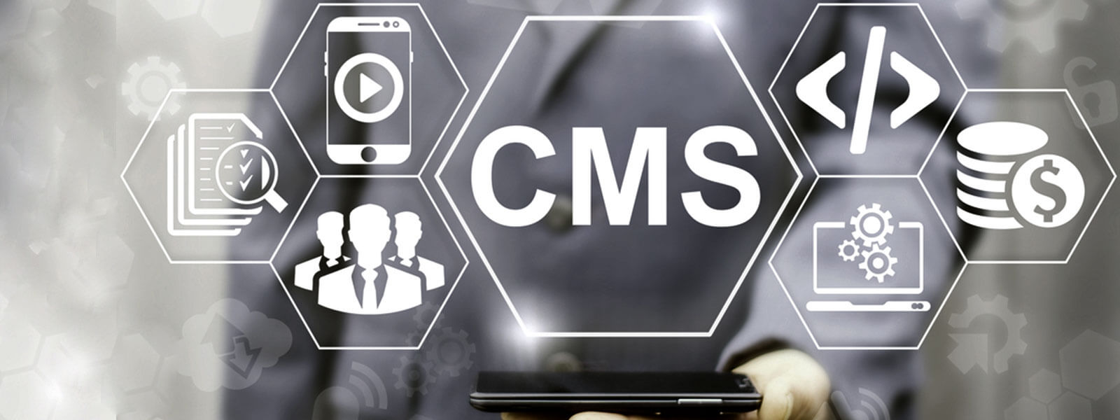 CMS Development Company